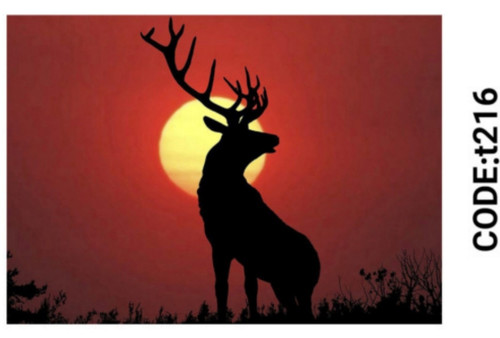 خرید ارزان فرشینه حیوانات فرشینه آفتاب کدT216مخمل شانل ترک استپدار