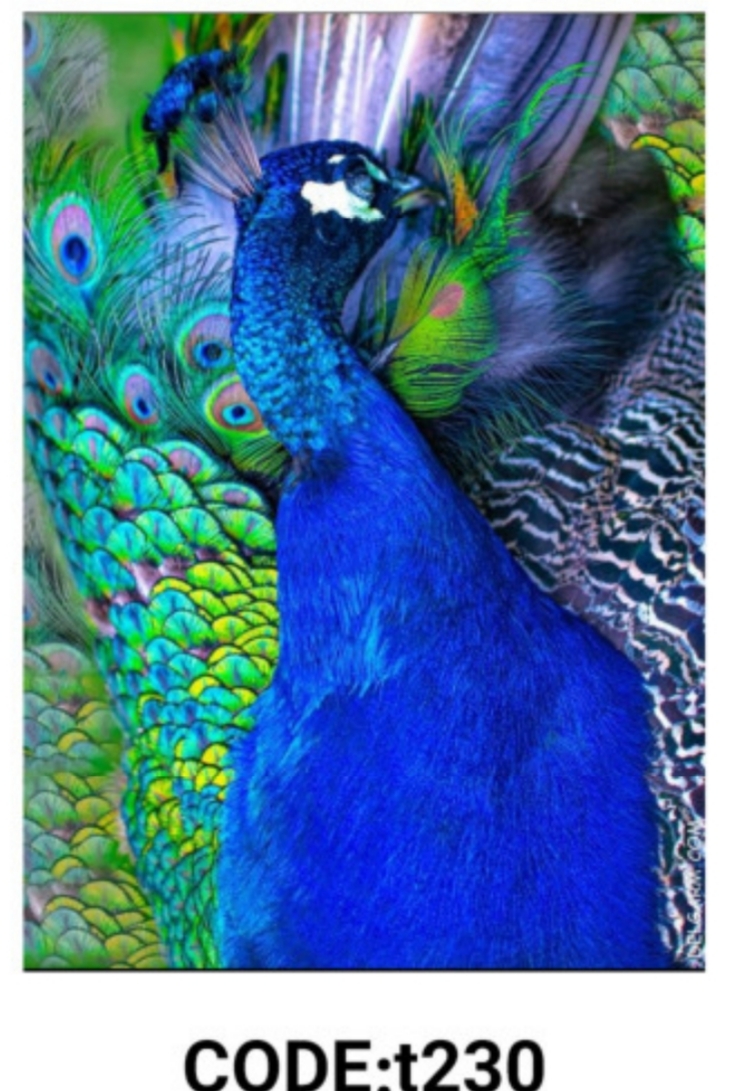 خرید ارزان فرشینه حیوانات فرشینه آفتاب کدT230مخمل شانل ترک استپدار