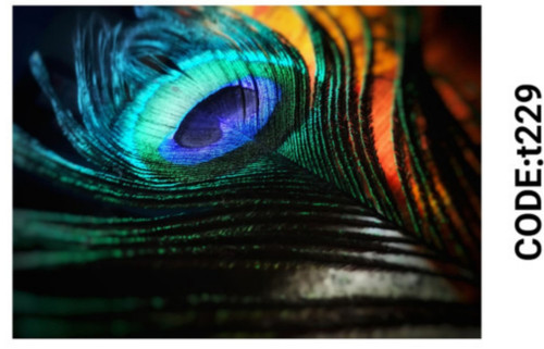 خرید ارزان فرشینه حیوانات فرشینه آفتاب کدT229مخمل شانل ترک استپدار