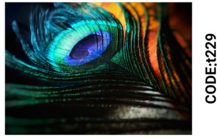 خرید ارزان فرشینه حیوانات فرشینه آفتاب کدT229مخمل شانل ترک استپدار