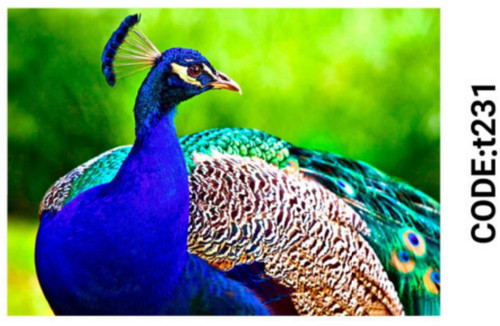 خرید ارزان فرشینه حیوانات فرشینه آفتاب کدT231مخمل شانل ترک استپدار