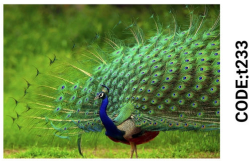 خرید ارزان فرشینه حیوانات فرشینه آفتاب کدT233مخمل شانل ترک استپدار