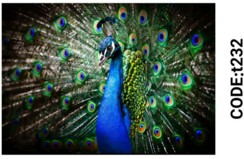 خرید ارزان فرشینه حیوانات فرشینه آفتاب کدT232مخمل شانل ترک استپدار